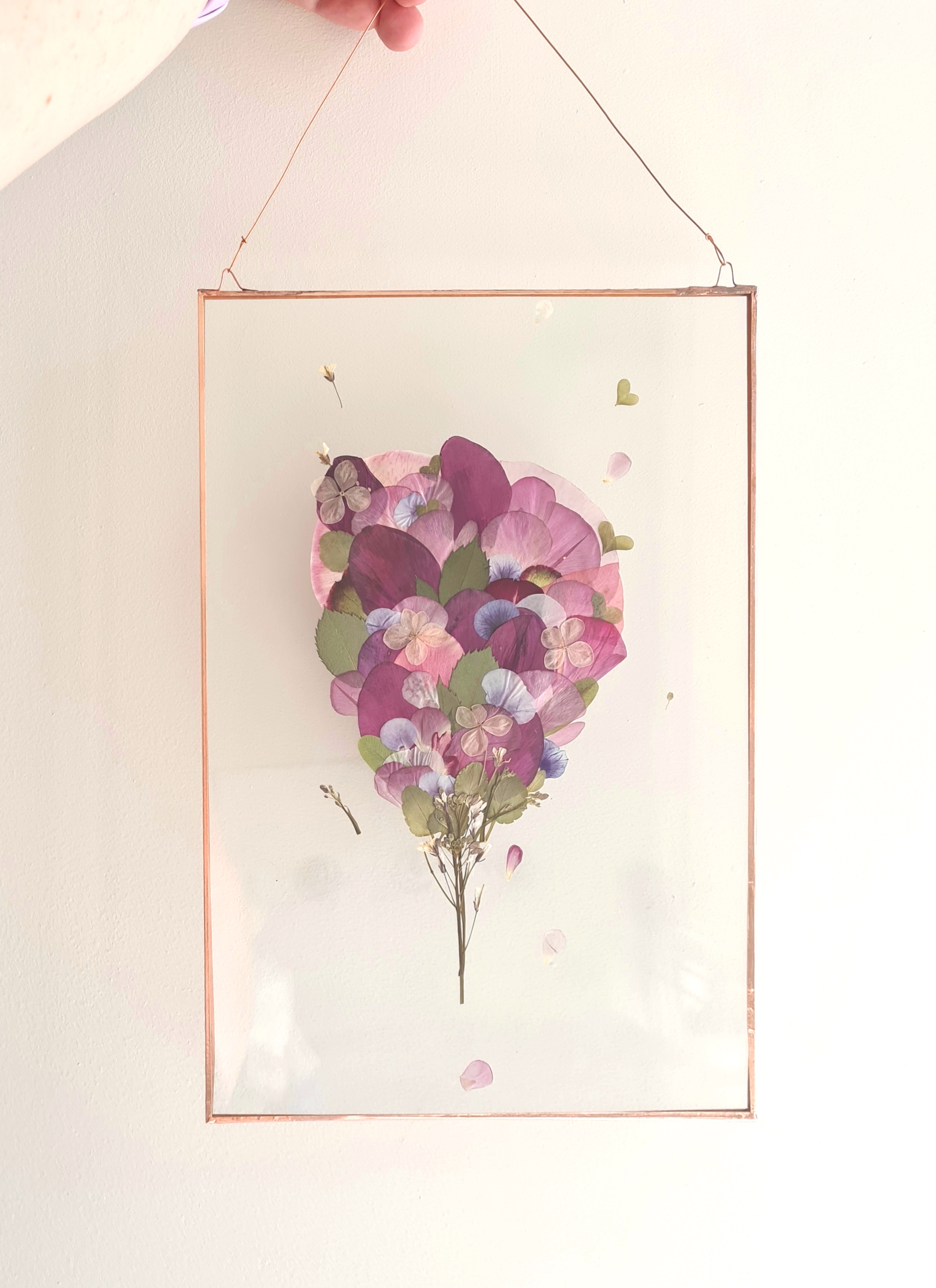 Pressed Flower Frames Western Australian Museum